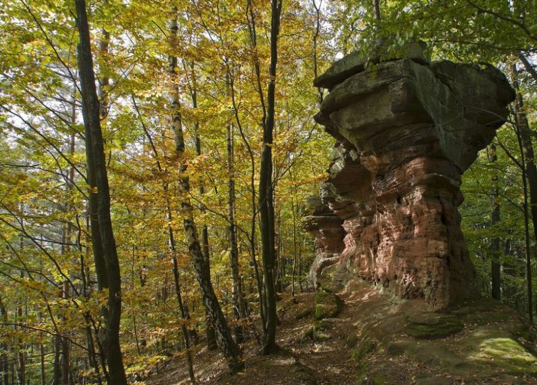 Vom Gimbelhof nach Obersteinbach