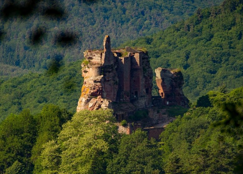 Vom Gimbelhof nach Obersteinbach