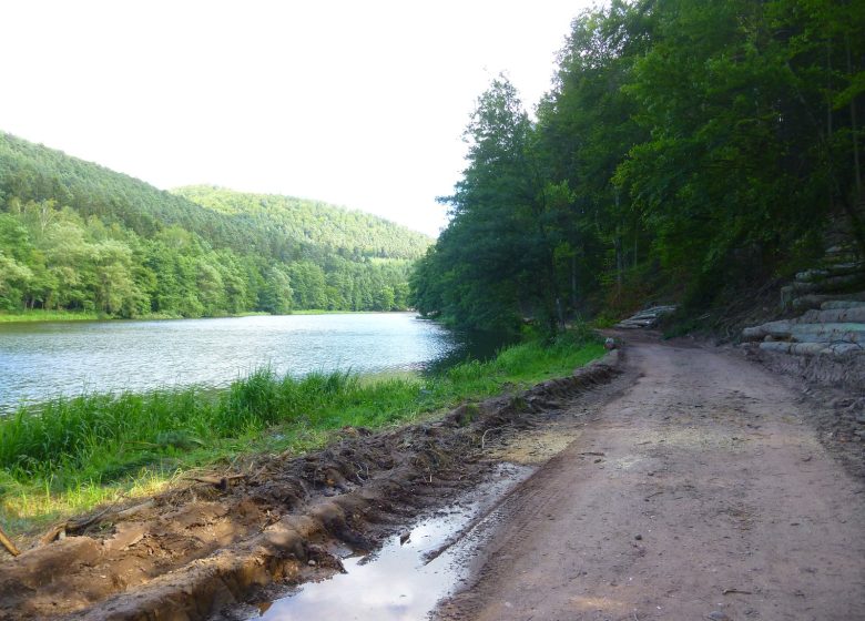 Vom Gimbelhof nach Obersteinbach