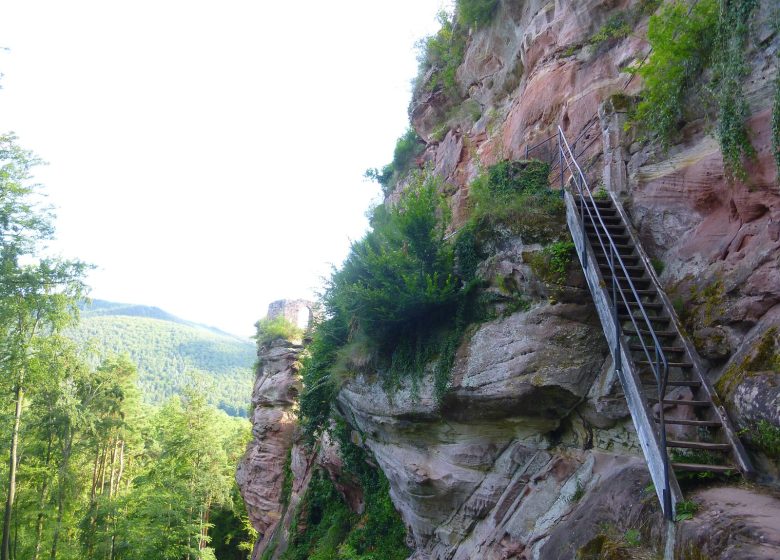 Vom Gimbelhof nach Obersteinbach