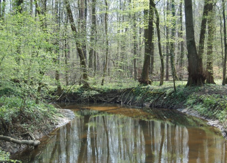 Exposition : Valérie Meyer et Ernest BARTH