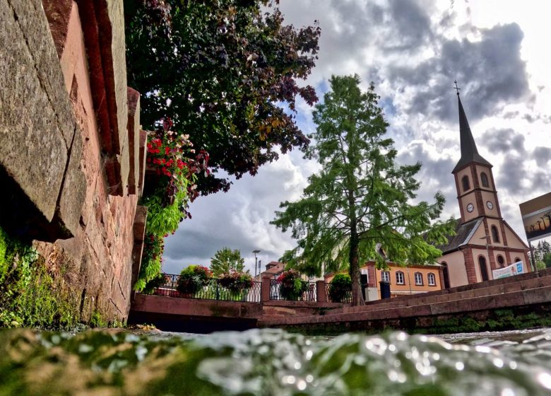 Exposition : Niederbronn-les-Bains au vert