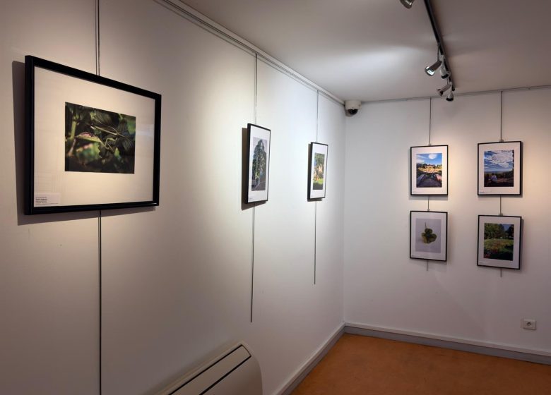 Exposition : Niederbronn-les-Bains au vert