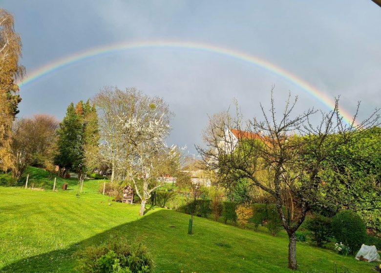 Exposition : Niederbronn-les-Bains au vert