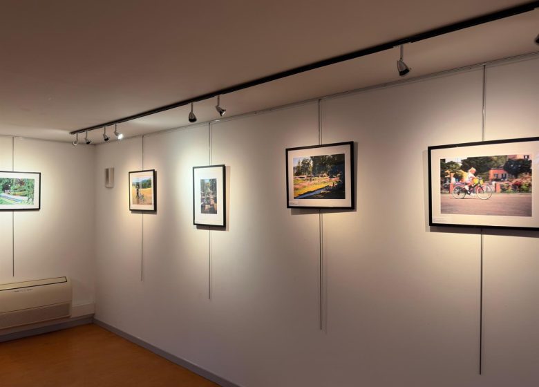 Exposition : Niederbronn-les-Bains au vert