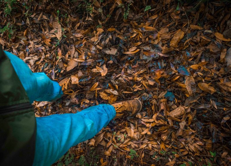Marche de solidarité
