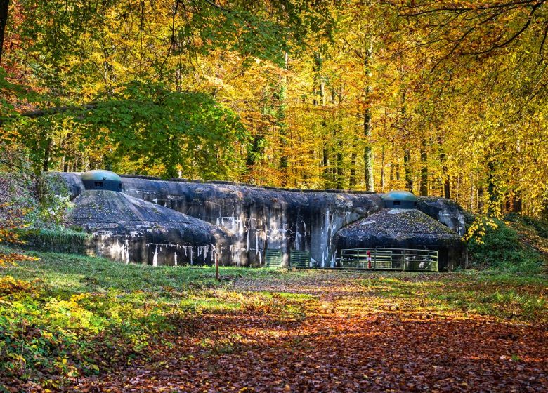 Visite guidée du Fort de Schoenenbourg