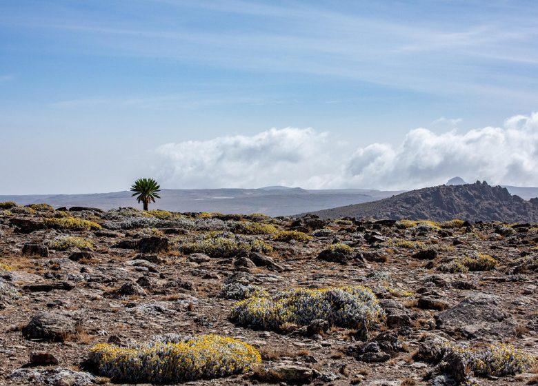 Ciné-conférence : Éthiopie
