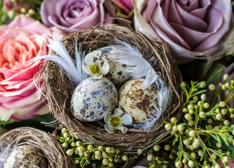 Chasse aux œufs de Pâques