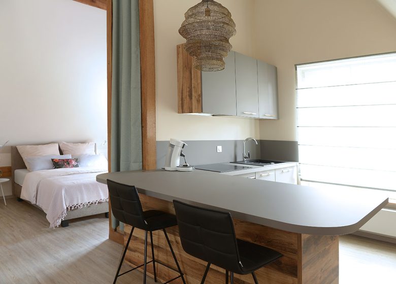 Meublé Maison 1775 – Remise 68