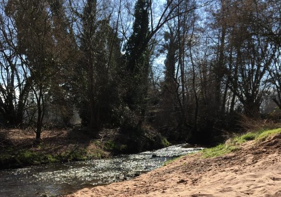 Circuit pédestre des Lignes de la Lauter à Schleithal