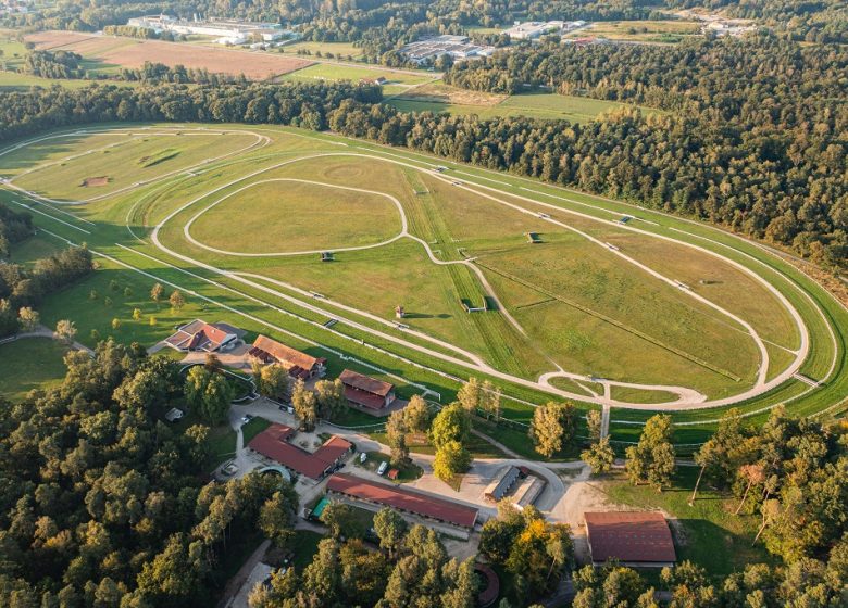 Circuit pédestre des Lignes de la Lauter à Schleithal