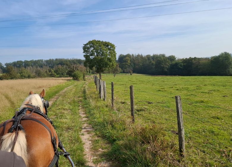 Les Attelages  des Cuirassiers