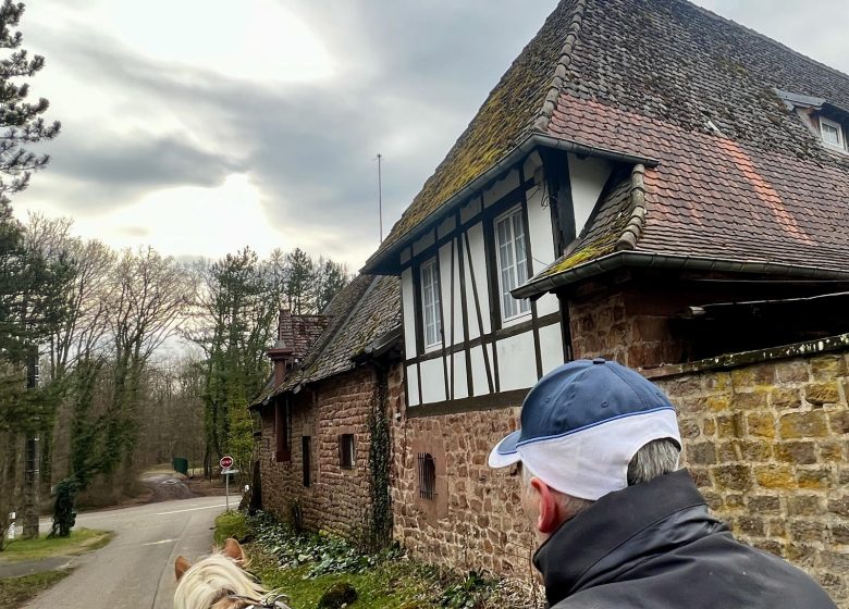 Les Attelages  des Cuirassiers