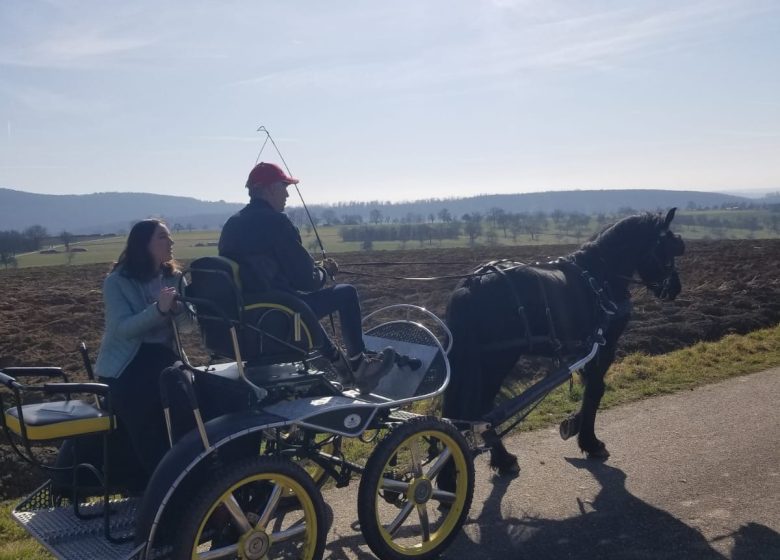 Les Attelages  des Cuirassiers