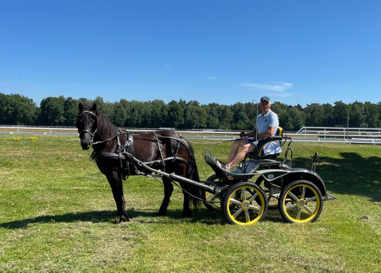 Les Attelages  des Cuirassiers