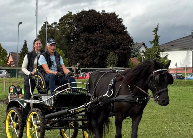Les Attelages  des Cuirassiers