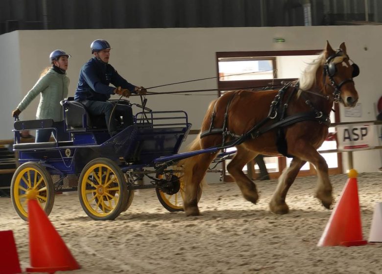 Les Attelages  des Cuirassiers