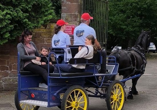 Les Attelages  des Cuirassiers