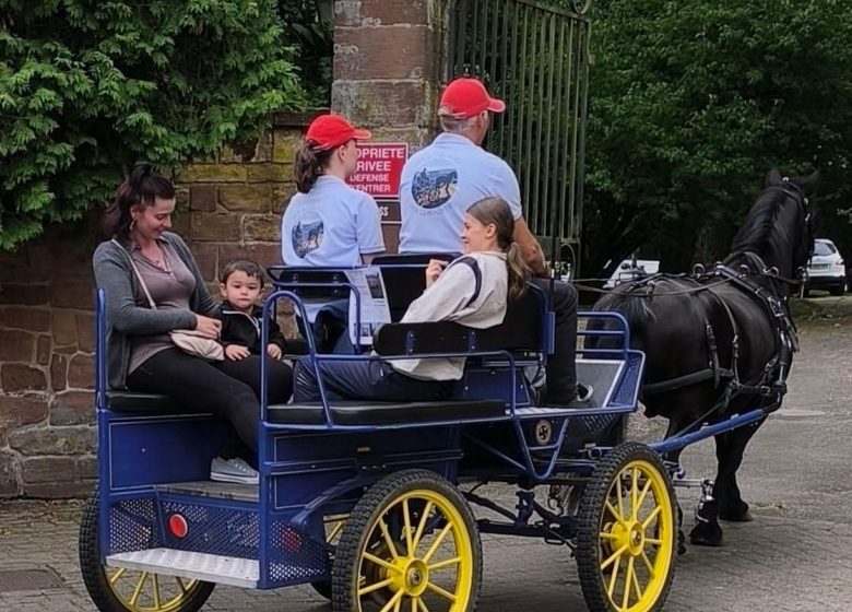 Les Attelages  des Cuirassiers