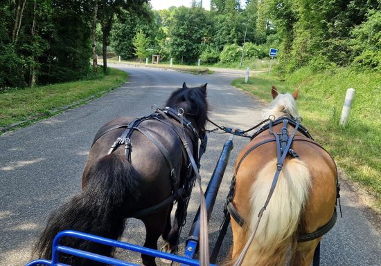 Les Attelages  des Cuirassiers