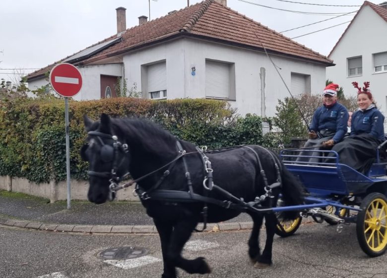 Les Attelages  des Cuirassiers