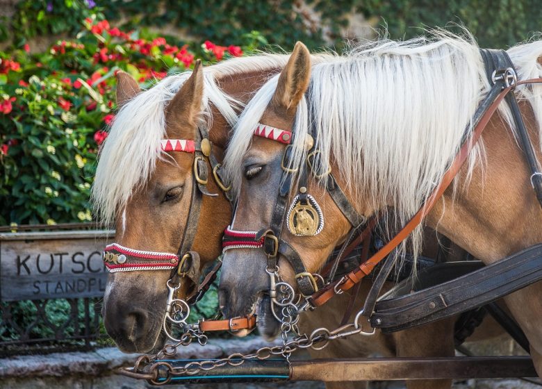 ROTT Balade en Calèche