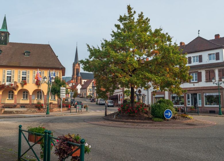 Lembach – Mattstall – Pfaffenbronn