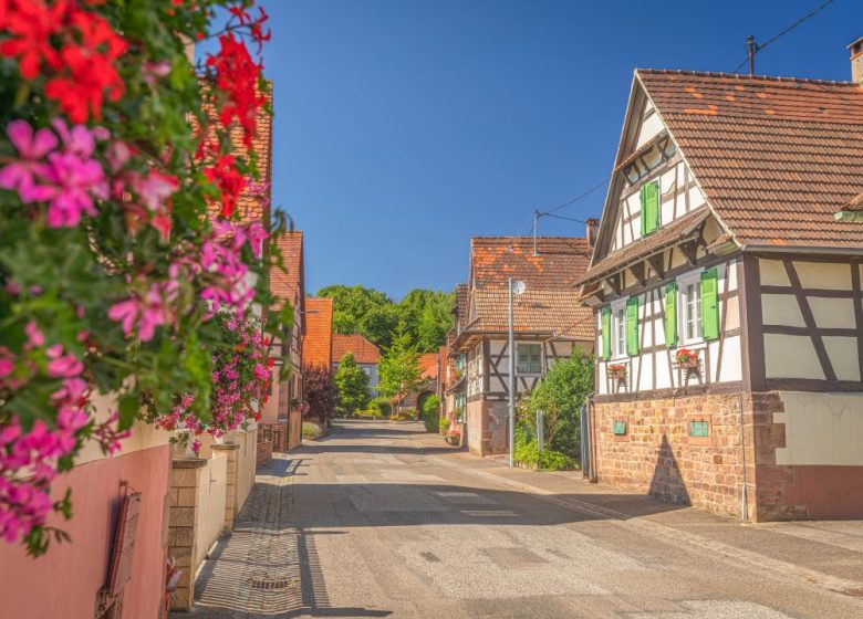 Lembach – Mattstall – Pfaffenbronn