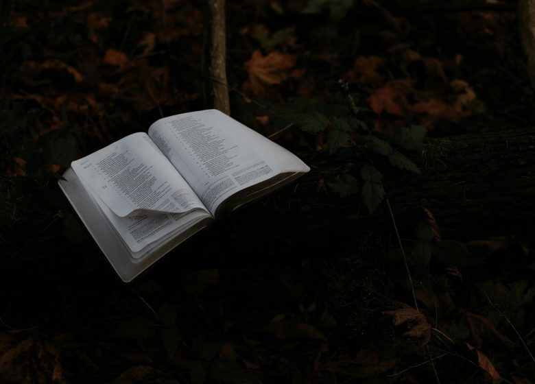 Lecture de contes et activités