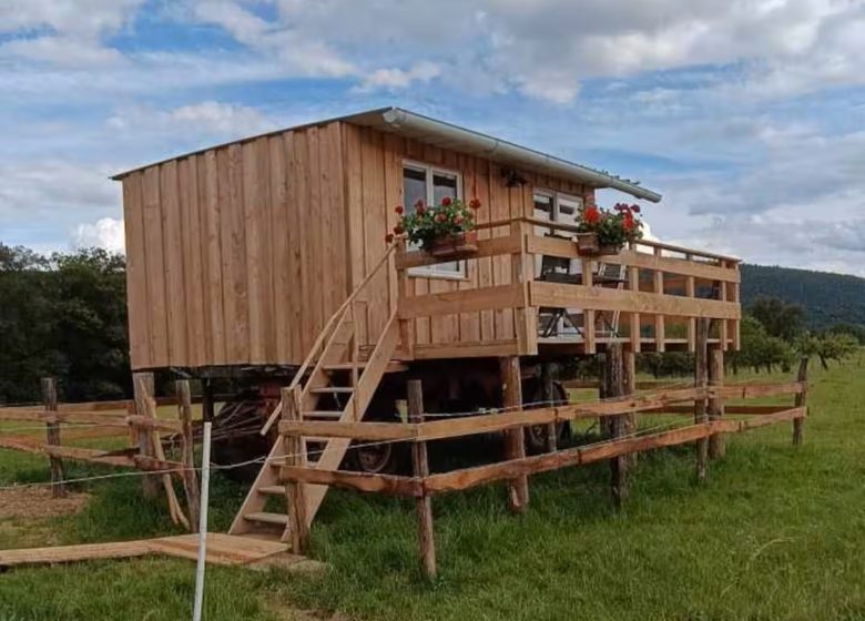 Tiny house La p’tite cabane