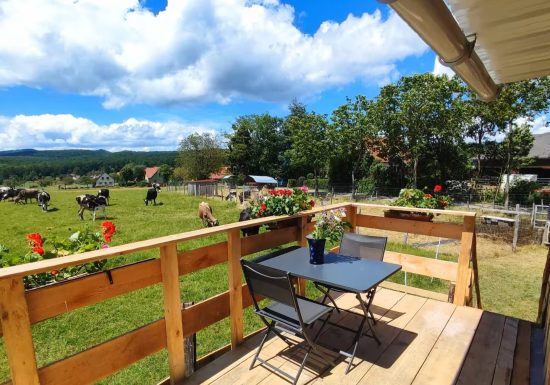 Tiny house La p&rsquo;tite cabane
