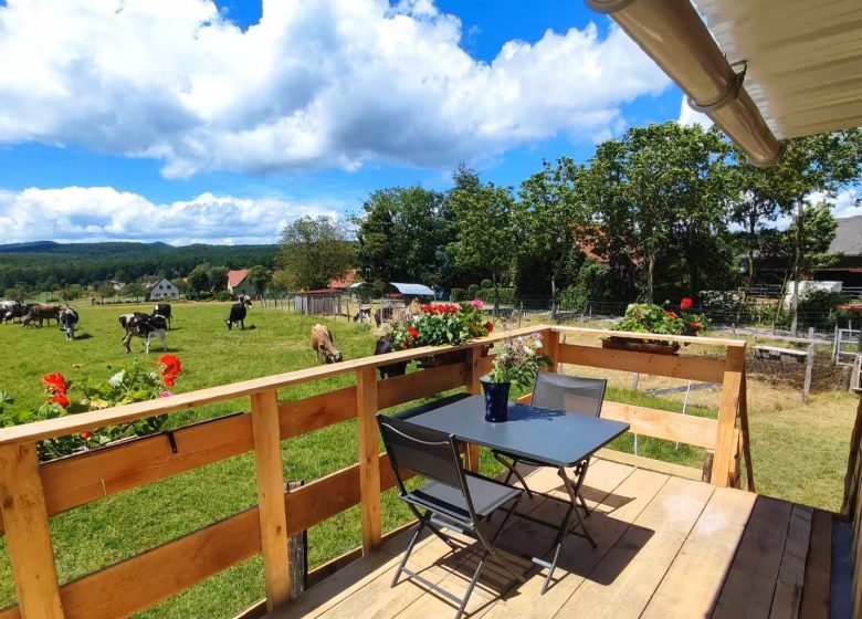 Tiny house La p’tite cabane