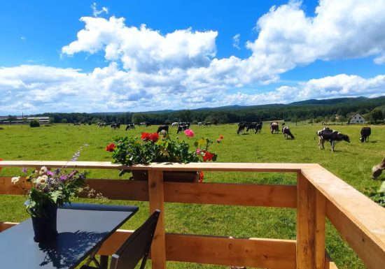 Tiny house La p&rsquo;tite cabane