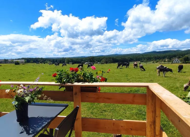 Tiny house La p’tite cabane