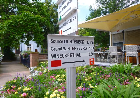 Circuit de randonnée ascension du Grand Wintersberg