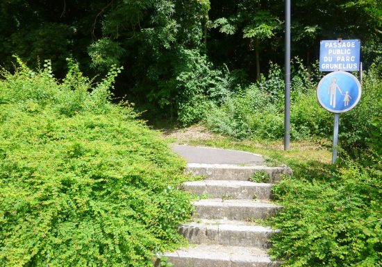 Circuit de randonnée ascension du Grand Wintersberg
