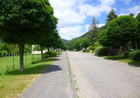 Circuit de randonnée ascension du Grand Wintersberg