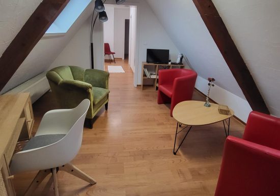 Gîte Les Hortensias