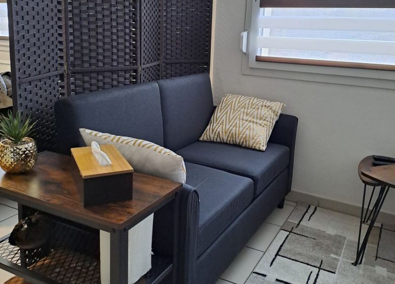 Meublé Studio du Centre