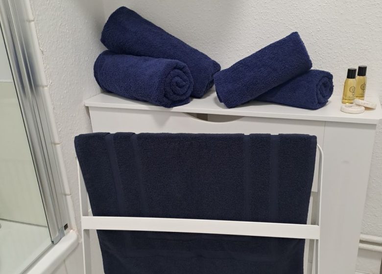 Meublé Studio du Centre