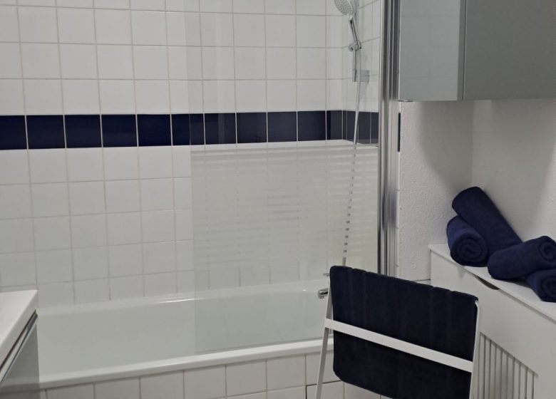 Meublé Studio du Centre