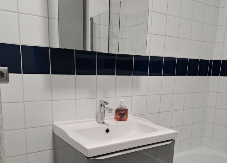 Meublé Studio du Centre