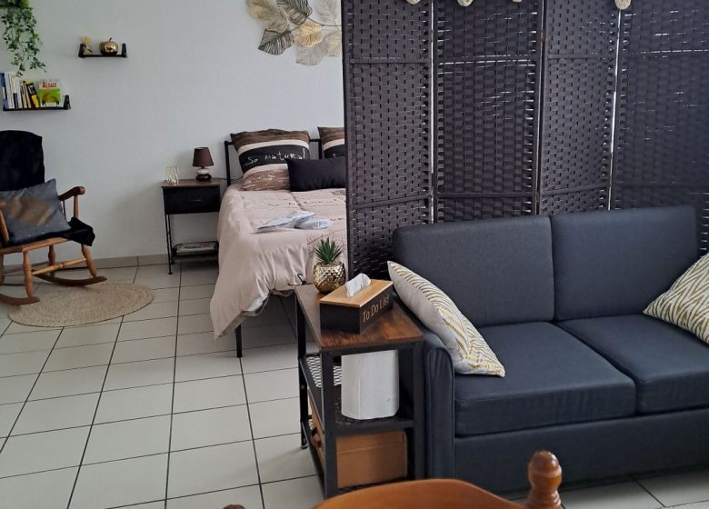 Meublé Studio du Centre