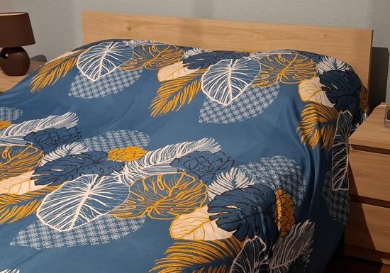 Meublé La Maison du Schwarzbach