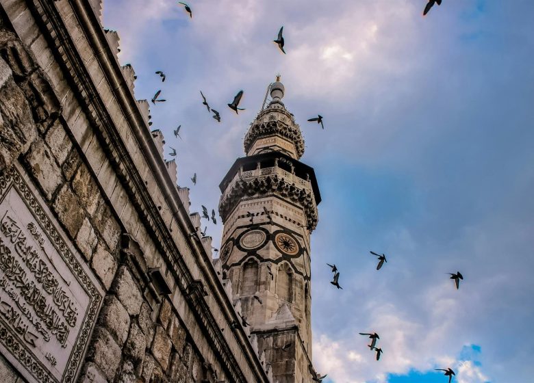 Spectacle : Ali Baba et les Quarante Voleurs