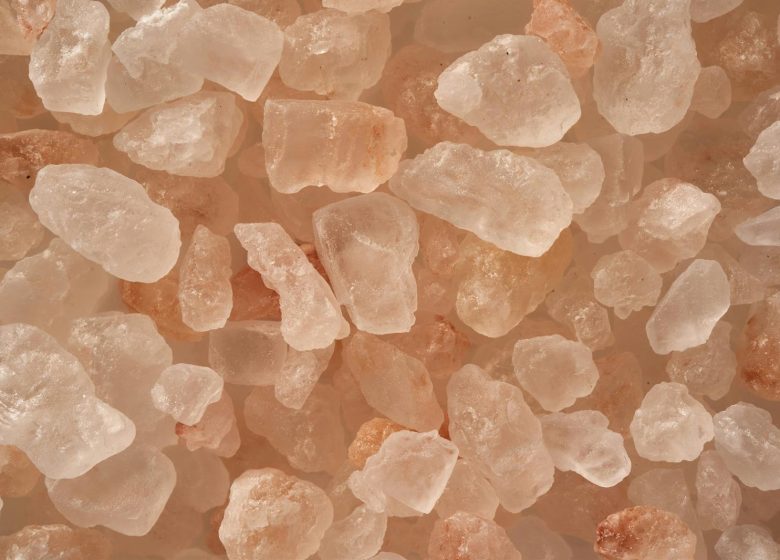 Conférence : Les chemins secrets de la contrebande