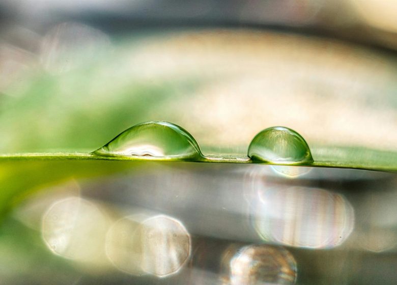 Salon : Les artisans du bien-être