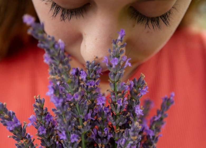 Conférence : l&rsquo;olfactothérapie, des odeurs pour avancer dans la vie
