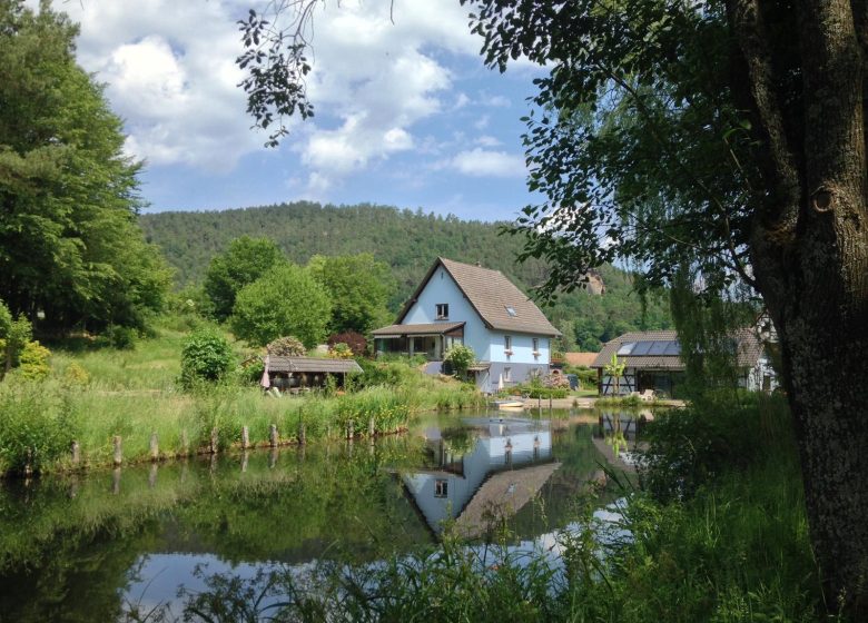 Maison d&rsquo;hôtes Au Numéro 6